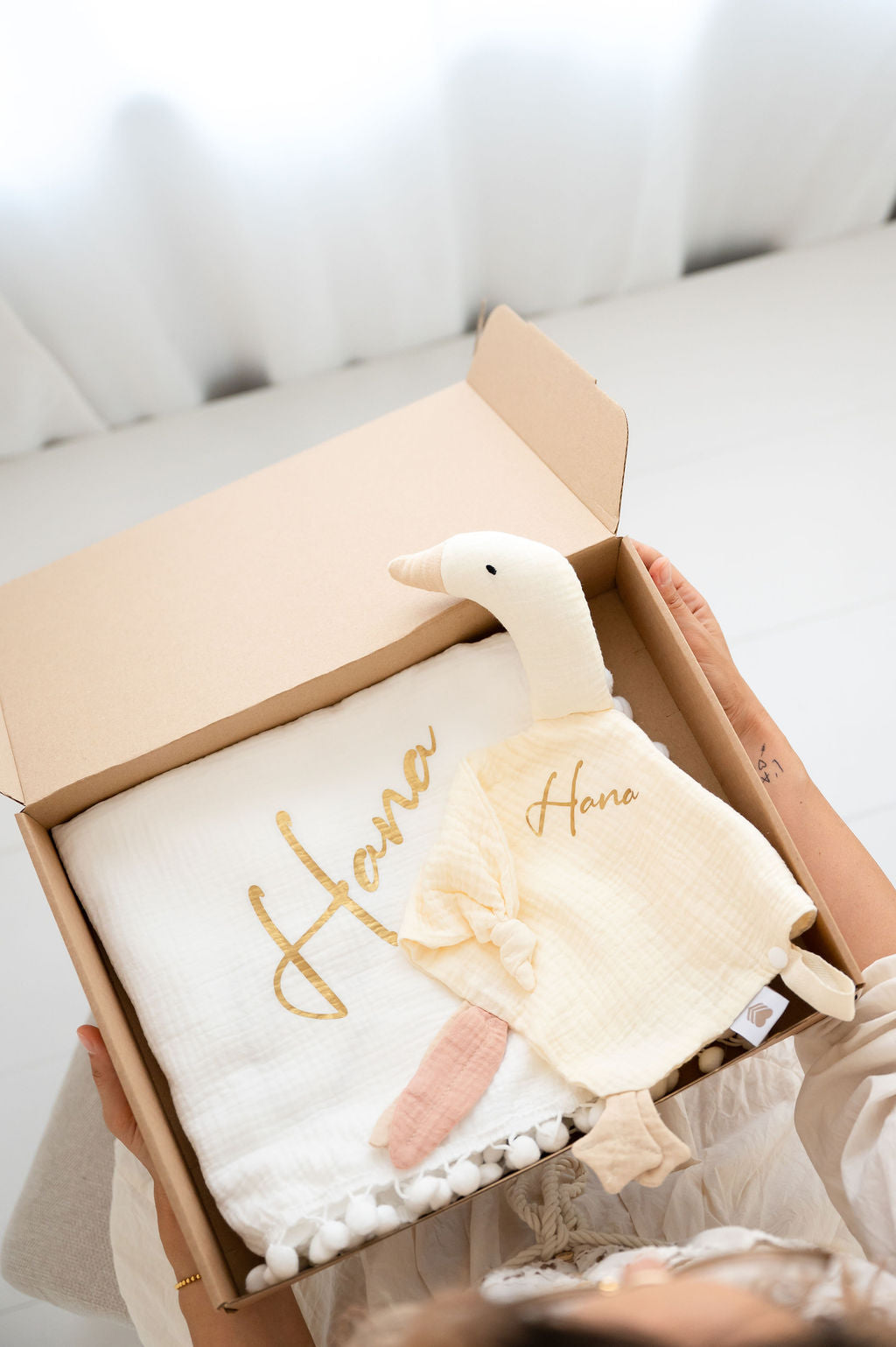 Paket Swan