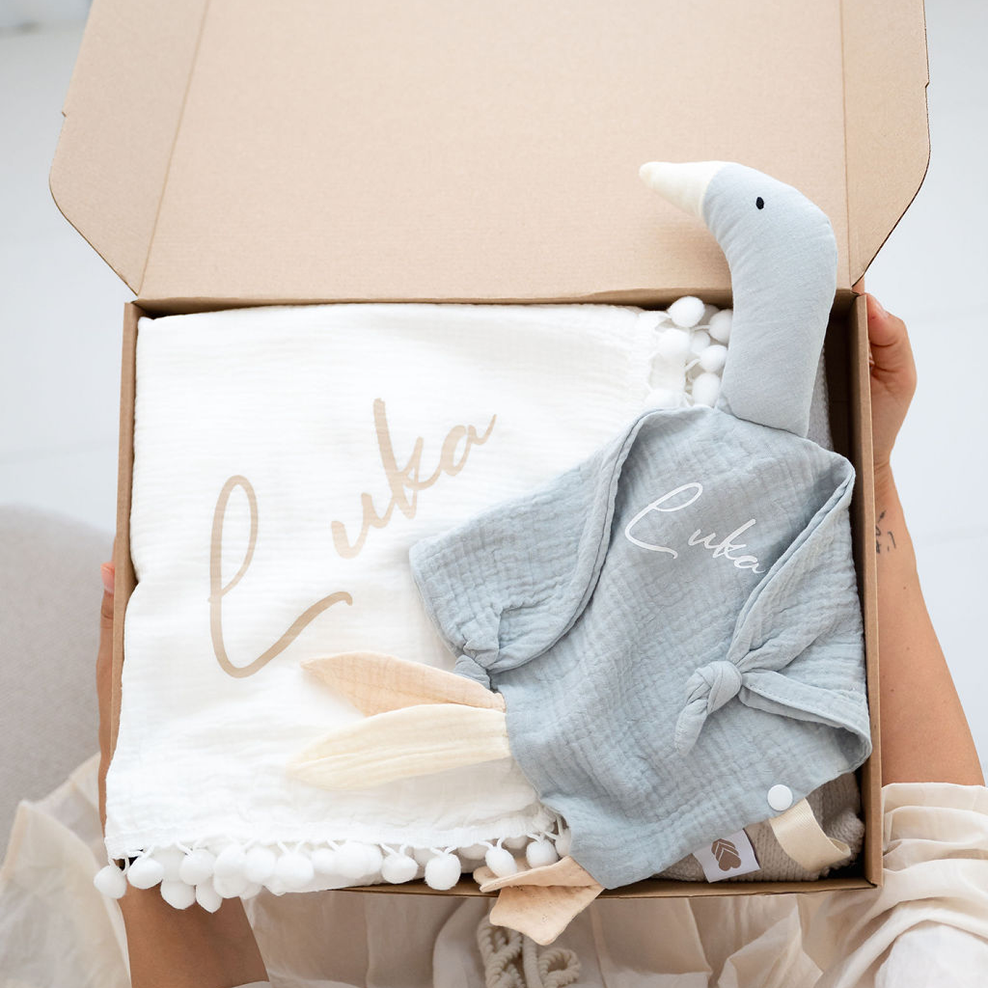Paket Swan